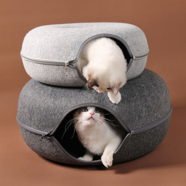 Catastic Interactive Cat House and Game Toy