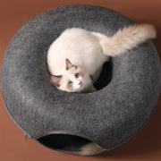 Catastic Interactive Cat House and Game Toy