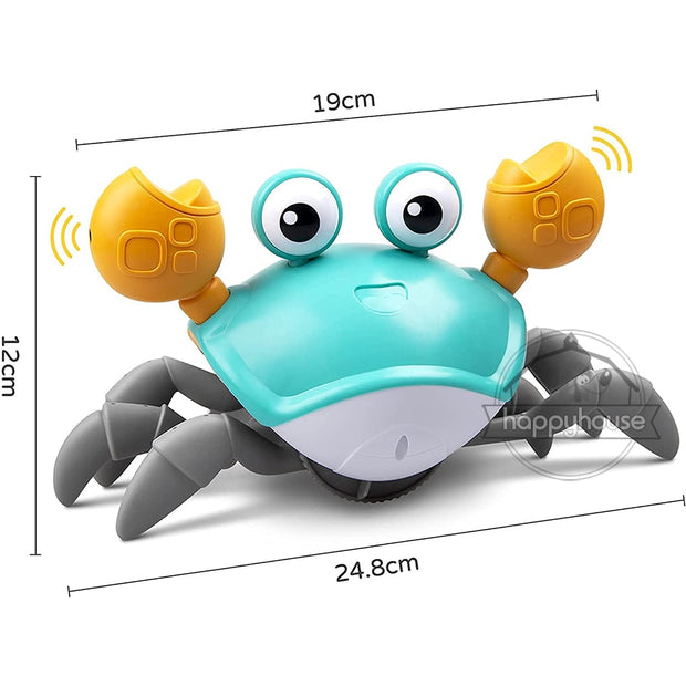 Paws 'n' Crawls Crab Duo Toy
